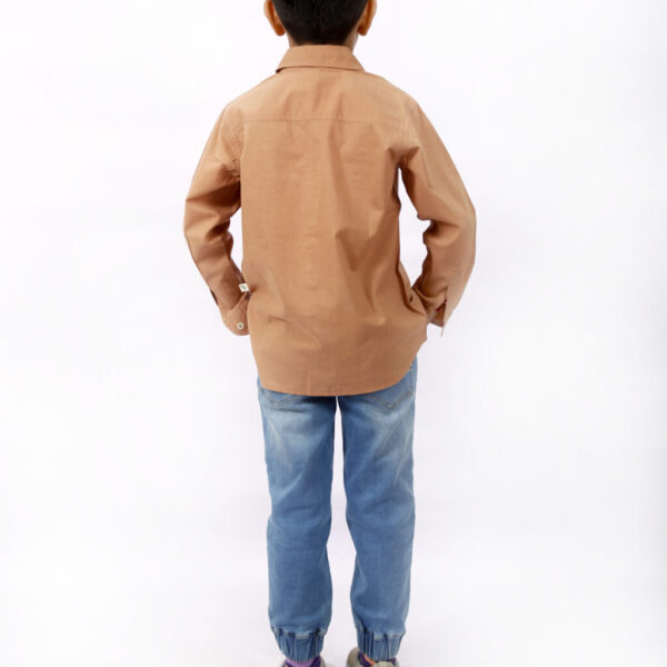 SBN-SHF-4-2